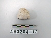 藏品(小型石英石核)的圖片